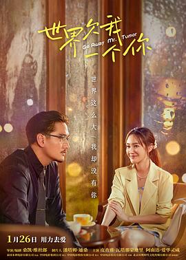 我的世界微病毒海报剧照